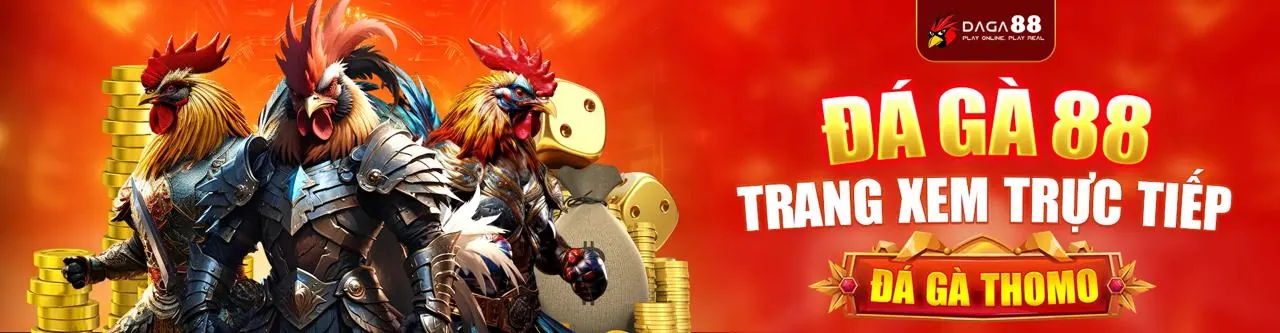 Đá Gà 8xx Bet 2026 – Trải nghiệm cá cược đá gà trực tuyến đỉnh cao